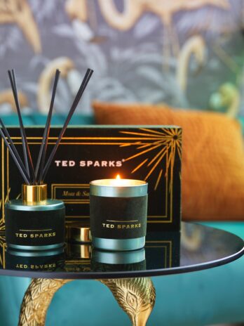 Ted Sparks: Moss & Sandalwood Velvet Candle & Diffuser Set